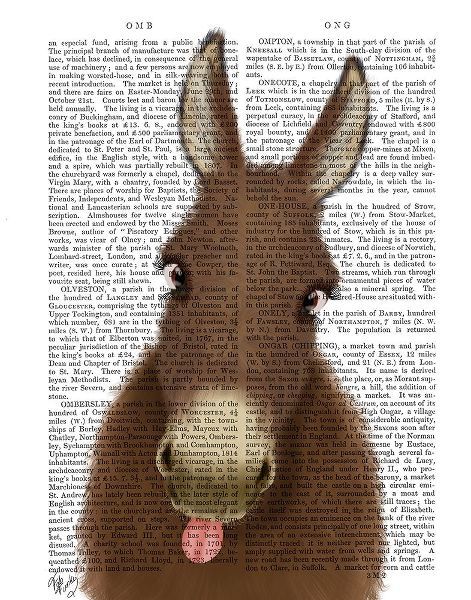 Funny Farm Donkey 1 Book Print