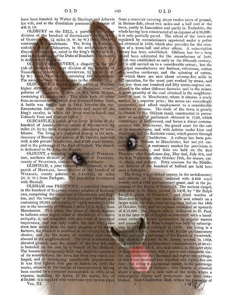 Funny Farm Donkey 2 Book Print