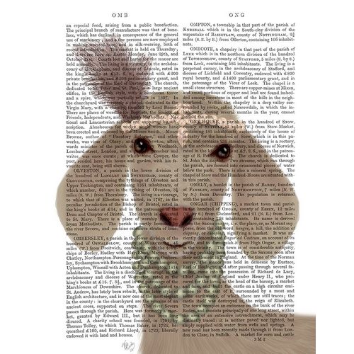 Posh White Goat Book Print