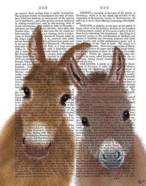 Donkey Duo, Looking at You Book Print
