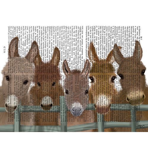 Donkey Herd at Fence Book Print