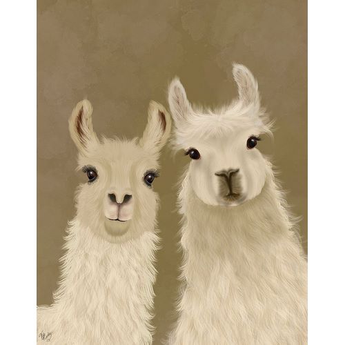 Llama Duo, Looking at You