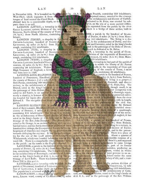 Llama with Purple Scarf, Full Book Print