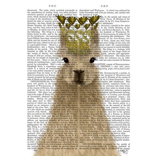 Llama Queen Book Print