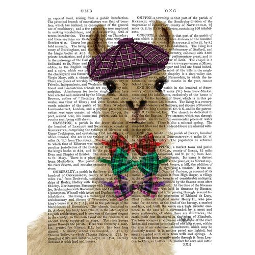 Llama Dapper Book Print