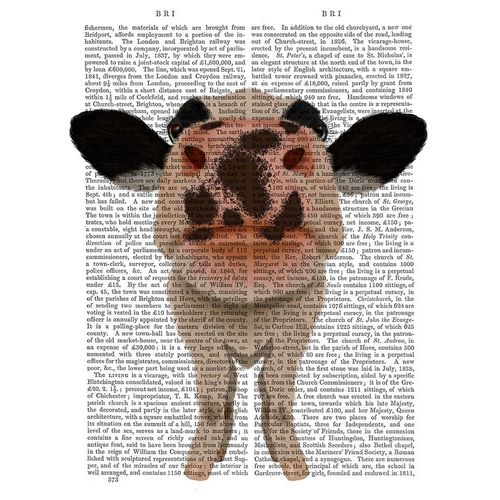 Nosey Cow 1 Book Print