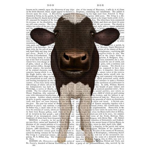 Nosey Cow 2 Book Print