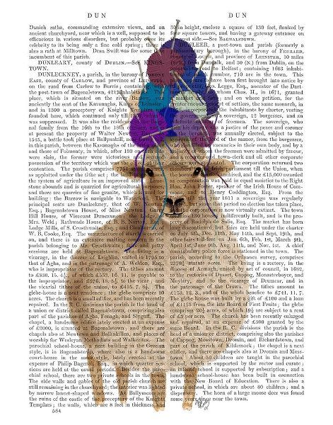 Sheep with Wool Hat, Full Book Print