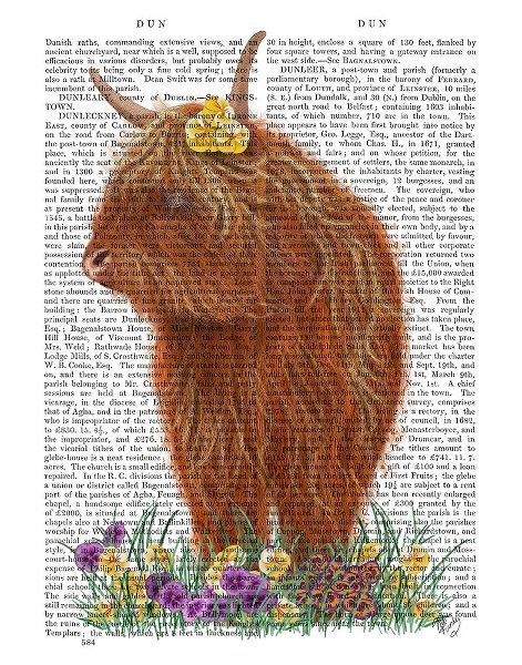 Highland Cow, Pansy Book Print