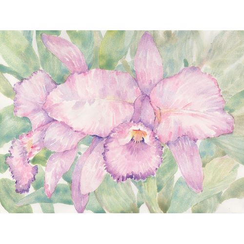 OToole, Tim 작가의 Tropical Orchid Watercolor II 작품