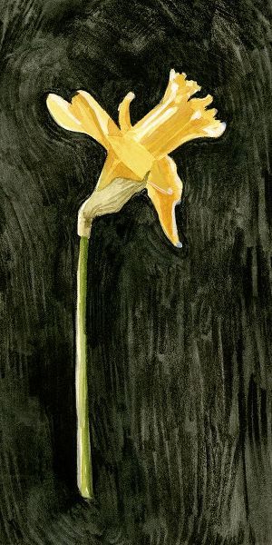 Caroline, Emma 작가의 Dark Daffodils II 작품