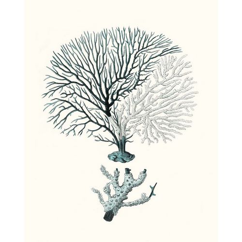 Esper, Johann 아티스트의 Antique Coastal Coral III작품입니다.