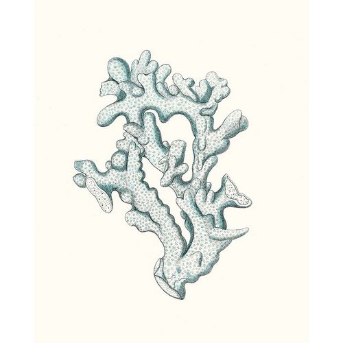 Esper, Johann 아티스트의 Antique Coastal Coral IV작품입니다.