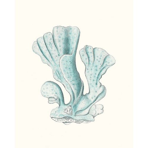 Esper, Johann 아티스트의 Antique Coastal Coral XI작품입니다.