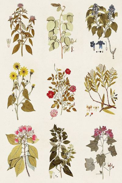 Vision Studio 아티스트의 Antique Floral Grid I작품입니다.