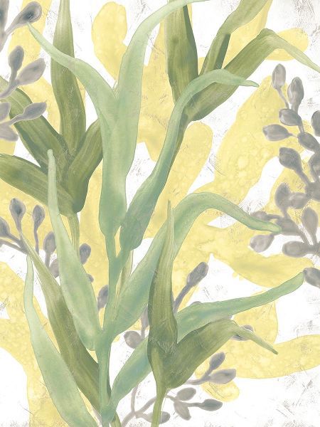 Vess, June Erica 아티스트의 Sea Grass Fresco II작품입니다.