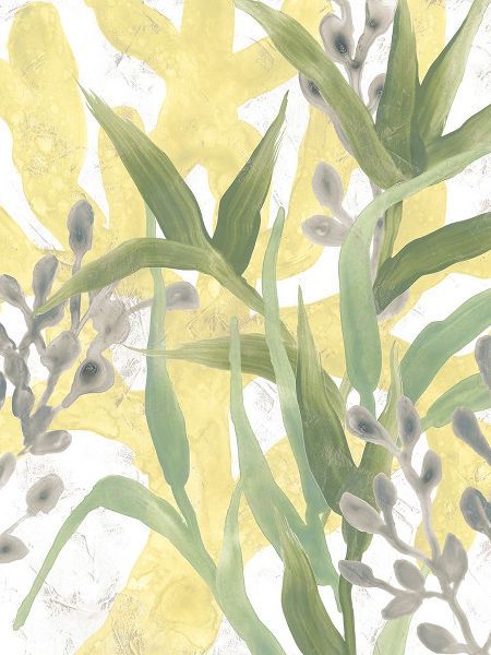 Vess, June Erica 아티스트의 Sea Grass Fresco III작품입니다.