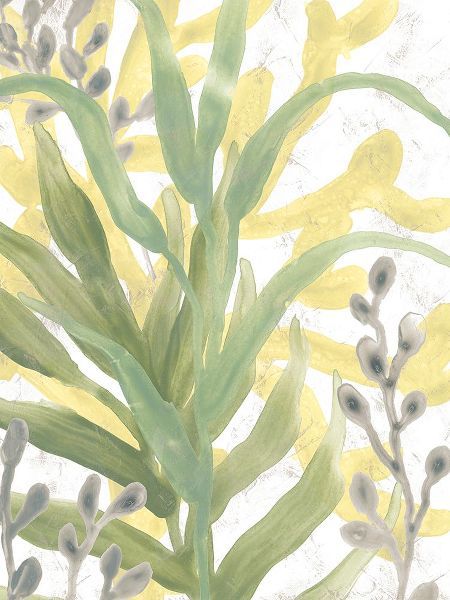 Vess, June Erica 아티스트의 Sea Grass Fresco IV작품입니다.