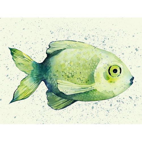 Popp, Grace 아티스트의 Speckled Freshwater Fish II작품입니다.