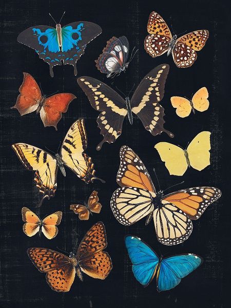 Barnes, Victoria 아티스트의 Collected Flutter IV작품입니다.