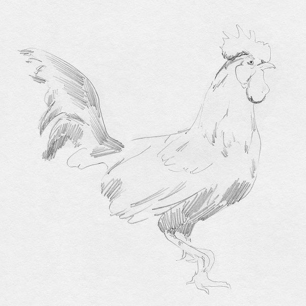 Green, Jacob 아티스트의 Big Rooster Sketch I작품입니다.