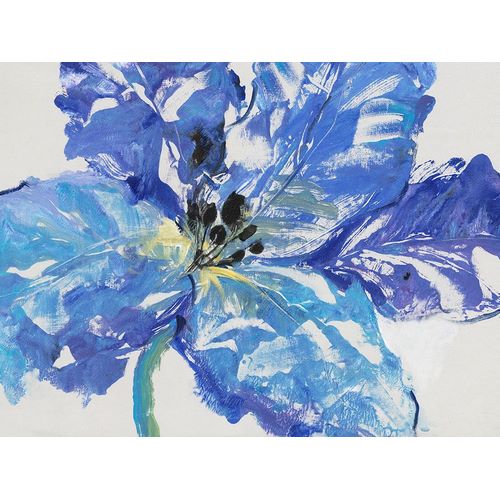 OToole, Tim 아티스트의 Fleur Bleue I작품입니다.