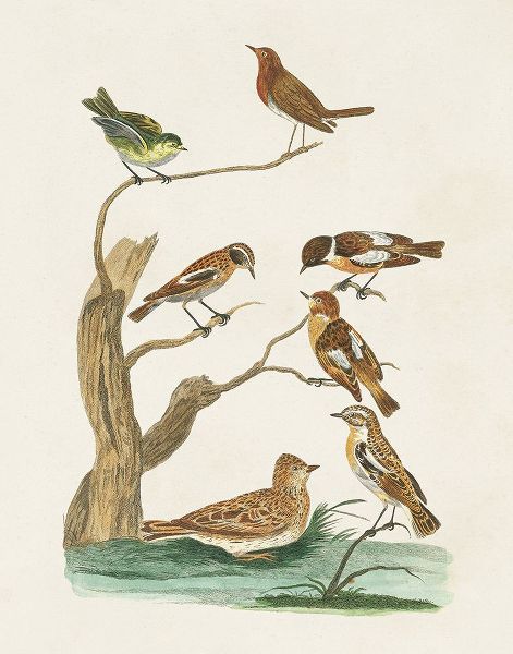 Vision Studio 아티스트의 Antique Birds in Nature III작품입니다.