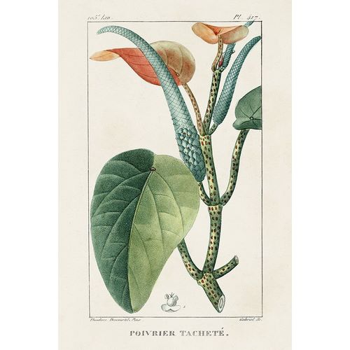 Turpin 아티스트의 Turpin Tropical Botanicals II작품입니다.