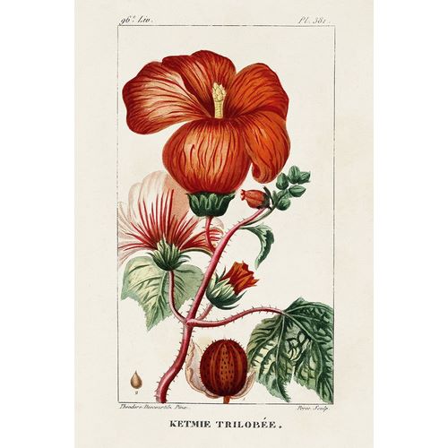 Turpin 아티스트의 Turpin Tropical Botanicals VII작품입니다.