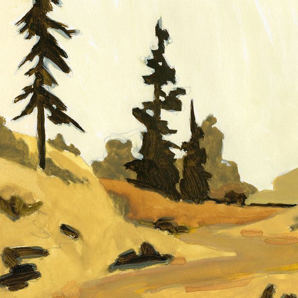Green, Jacob 아티스트의 State Park Pine Sketch II작품입니다.