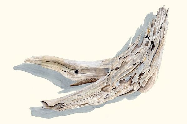 Willett, Michael 아티스트의 Driftwood Study III작품입니다.