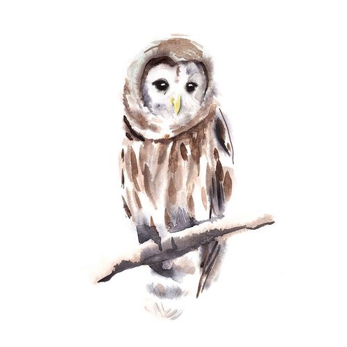 Warren, Annie 아티스트의 Barred Owl Impressions I작품입니다.