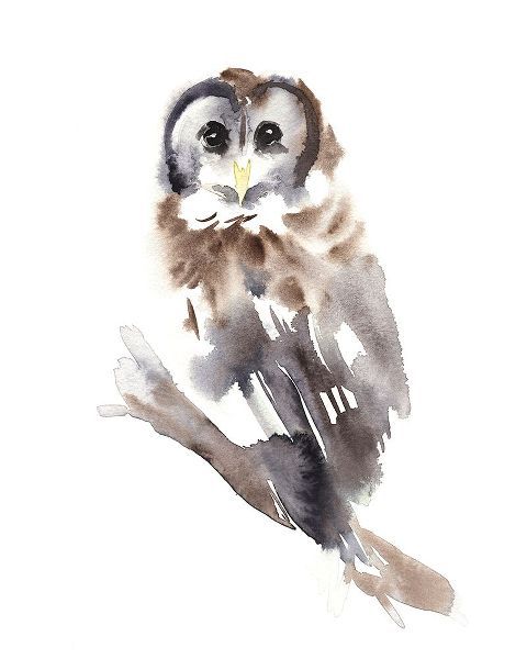 Warren, Annie 아티스트의 Barred Owl Impressions II작품입니다.