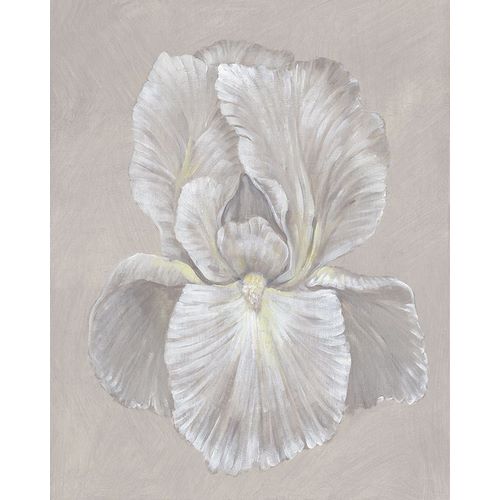 OToole, Tim 아티스트의 White Iris I작품입니다.