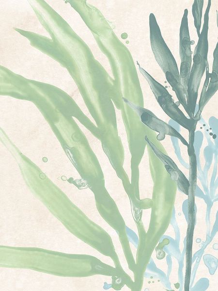 Vess, June Erica 아티스트의 Swaying Seagrass IV작품입니다.