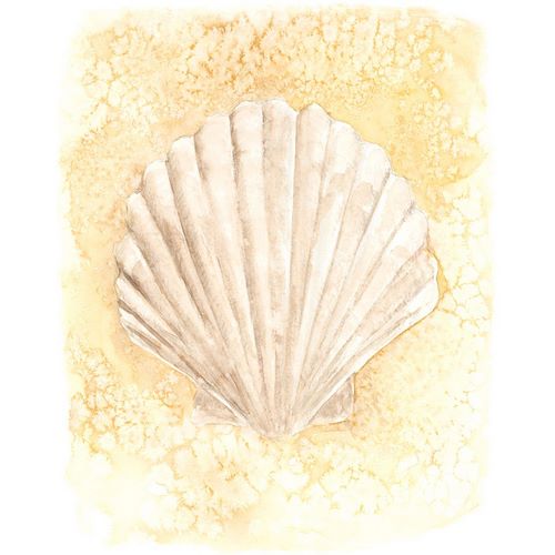 Warren, Annie 아티스트의 Salty Seashell II작품입니다.