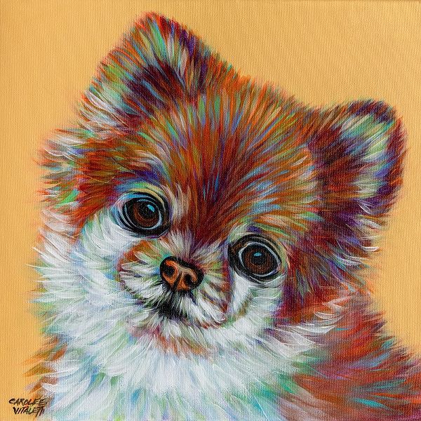 Vitaletti, Carolee 아티스트의 Colorful Pomeranian작품입니다.