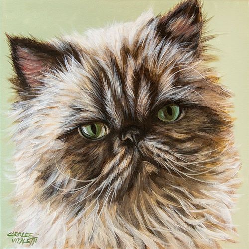 Vitaletti, Carolee 아티스트의 Persian Cat II작품입니다.