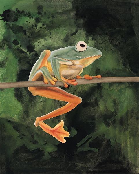 Willett, Michael 아티스트의 Watercolor Tree Frogs I작품입니다.