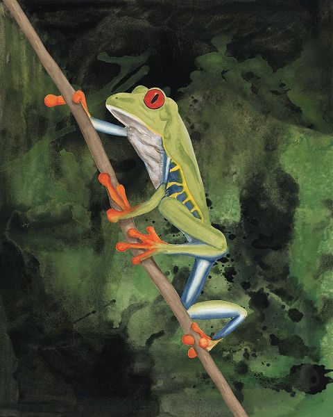 Willett, Michael 아티스트의 Watercolor Tree Frogs II작품입니다.