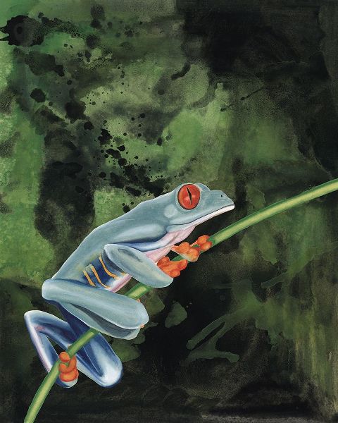 Willett, Michael 아티스트의 Watercolor Tree Frogs IV작품입니다.