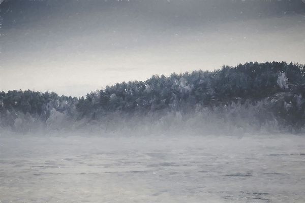 Curinga, Kim 아티스트의 Fog and Forest작품입니다.