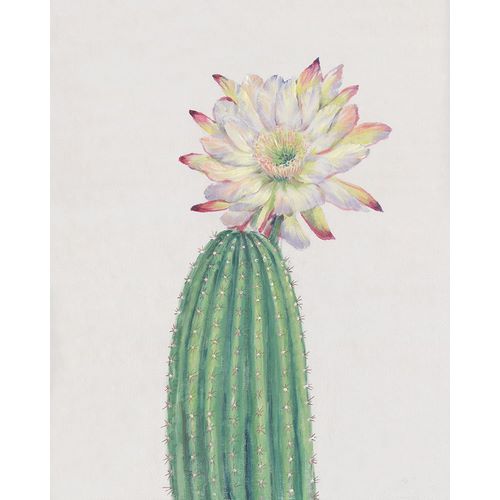 OToole, Tim 아티스트의 Cactus Blossom I작품입니다.