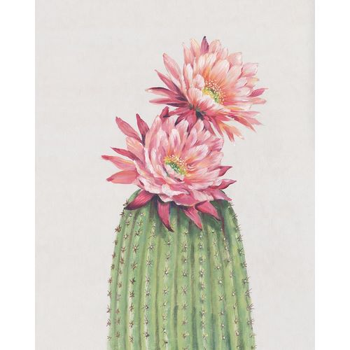 OToole, Tim 아티스트의 Cactus Blossom II작품입니다.