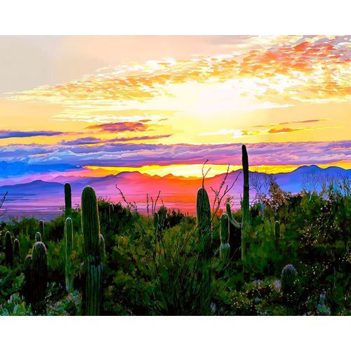 Kalina, Emily 아티스트의 Arizona Sunset작품입니다.