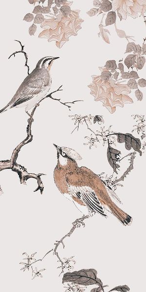Haase, Andrea 아티스트의 Birds of Asia I작품입니다.