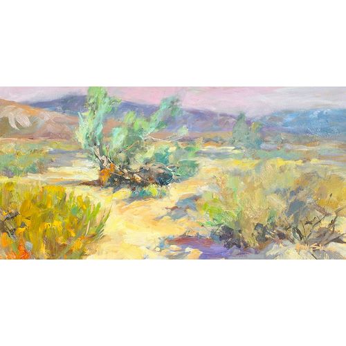Stevens, Allayn 아티스트의 Desert Garden작품입니다.