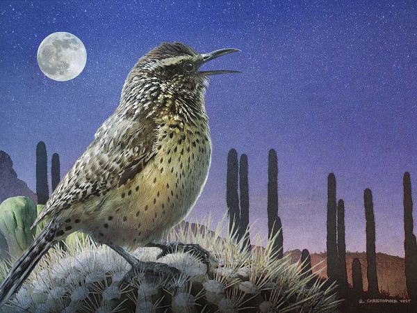 Vest, Chris 아티스트의 Saguaro Cactus Wren by Moonlight작품입니다.