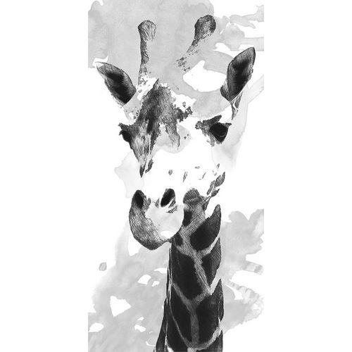 Saunders, Alonzo 아티스트의 Giraffe study  I작품입니다.