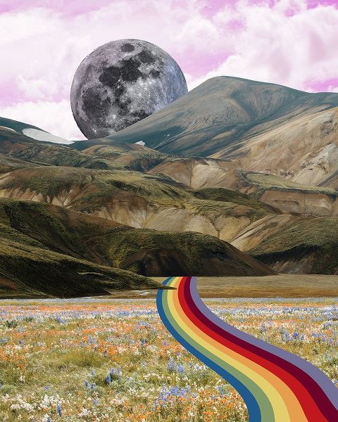 Wang, Melissa 아티스트의 Rainbow Field II작품입니다.